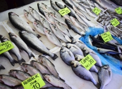 انتهاء موسم الصيد في تركيا الليلة..ودعوات لدعم الصيادين