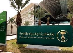السعودية: فتح التسجيل بـ 44 وظيفة شاغرة بوزارة البيئة