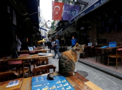 مشروع لزيادة ضريبة القيمة المضافة على المطاعم والمقاهي في تركيا